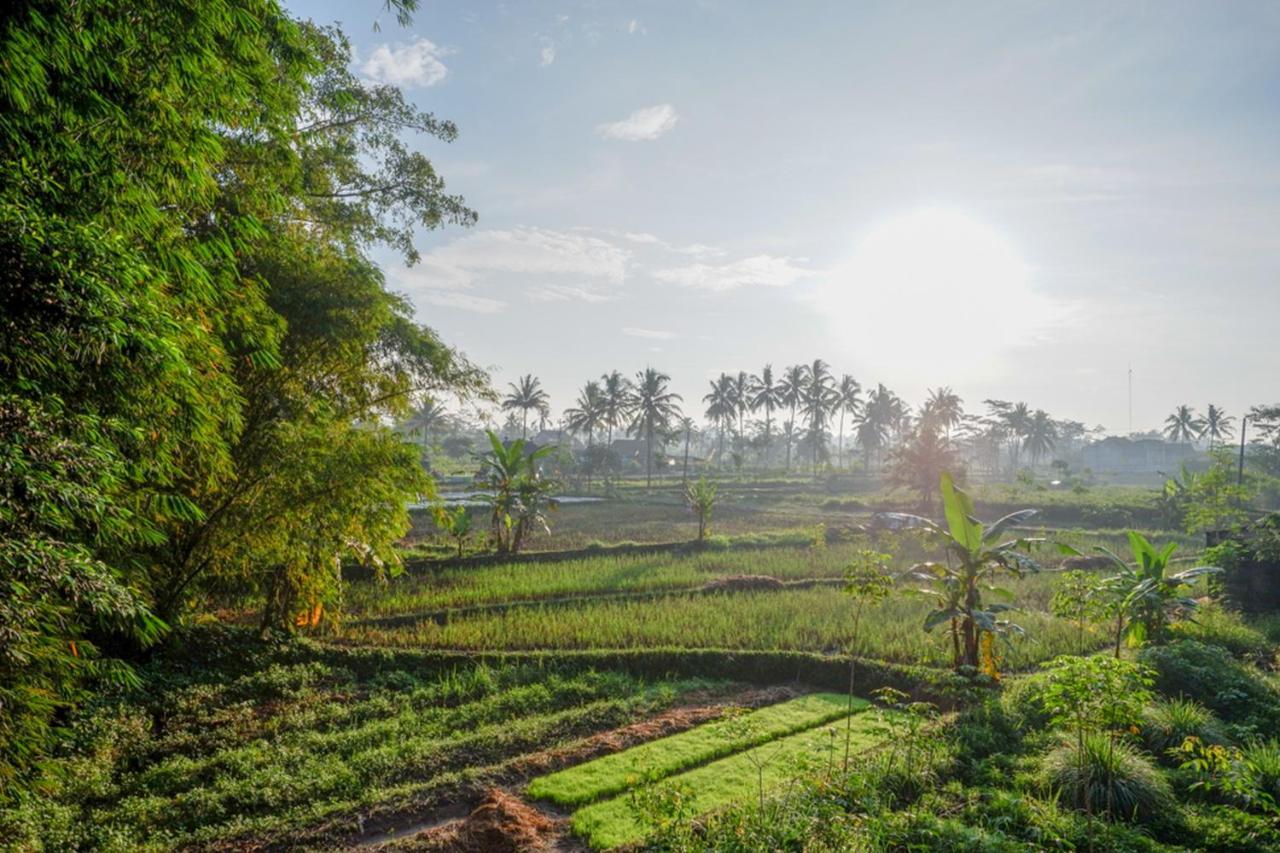 Hotel Reddoorz Syariah At Omah Sawah Balong  Esterno foto